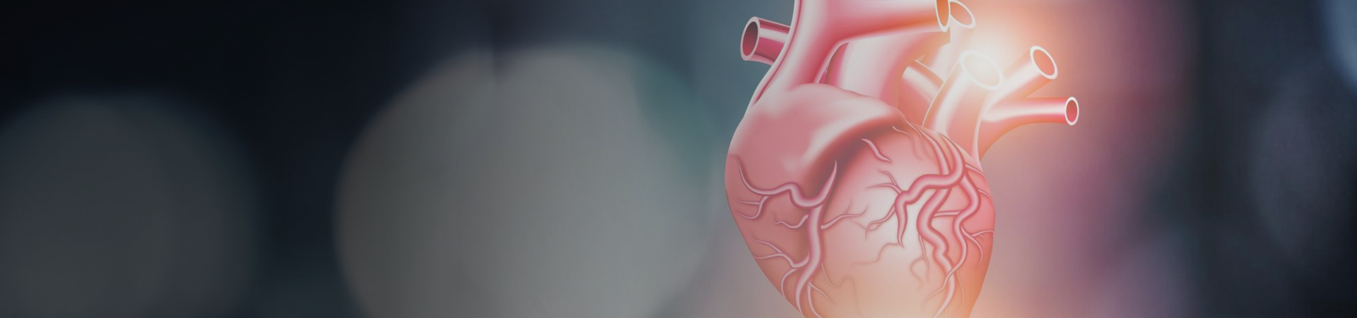 Cardiology